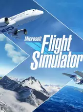 Microsoft Flight Simulator