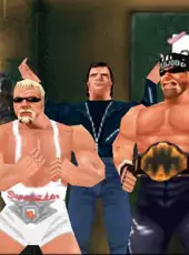 WCW/nWo Revenge