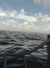 IronWolf VR
