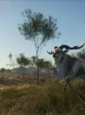 theHunter: Call of the Wild - Emerald Coast Australia