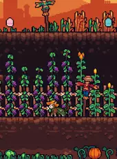 Rooftop Rascal: The Farmer Cat