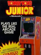 Donkey Kong Junior