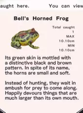 Frog Minutes