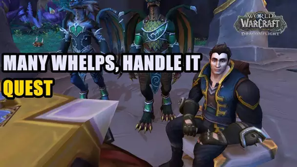 Many Whelps, Handle It Quest WoW