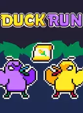 Duck Run