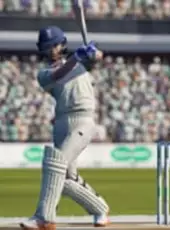 Cricket 19