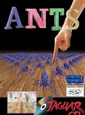 Ants