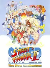 Super Street Fighter II: The New Challengers