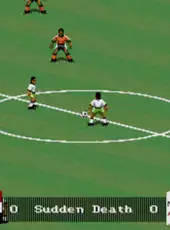 FIFA International Soccer