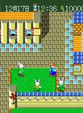 Wallaby!! Usagi no Kuni no Kangaroo Race