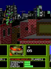 Teenage Mutant Ninja Turtles: Manhattan Missions