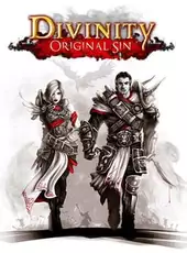 Divinity: Original Sin