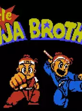 Little Ninja Brothers