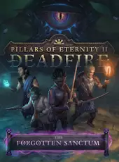 Pillars of Eternity II: Deadfire - The Forgotten Sanctum