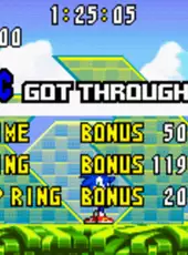 Sonic Advance 2