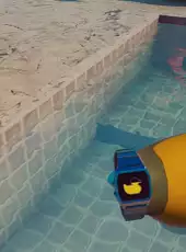 Placid Plastic Duck VR