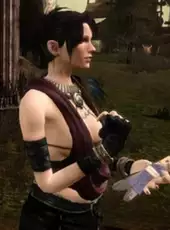 Dragon Age: Origins - Feastday Gifts