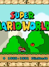 Super Mario World