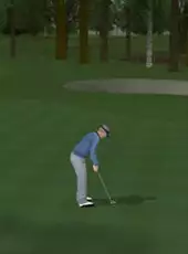 ProStroke Golf: World Tour 2007