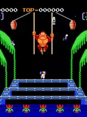 Donkey Kong 3