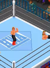 Super Fire Pro Wrestling