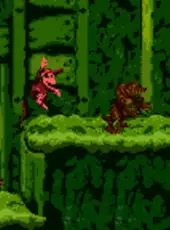 Donkey Kong Country