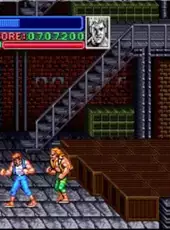 Super Double Dragon