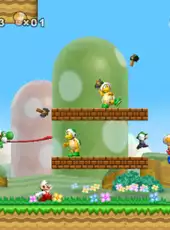 New Super Mario Bros. Wii