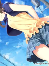 Himawari: The Sunflower