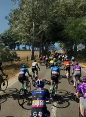 Pro Cycling Manager 25