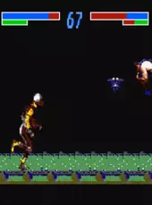 Mortal Kombat 3