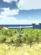 Island Flight Simulator
