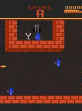 Dark Chambers