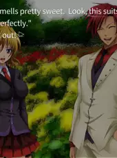 Umineko When They Cry: Question Arcs