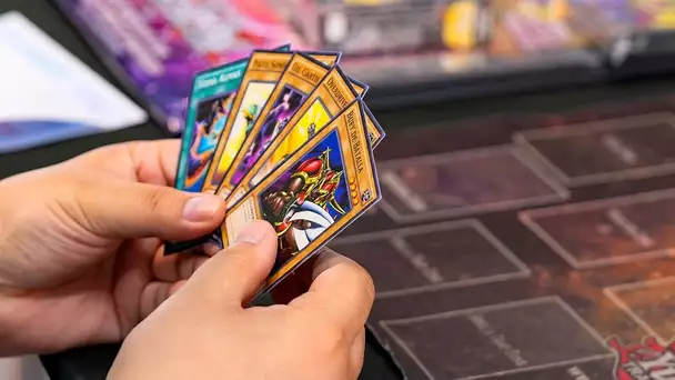 A new website to collect all your Yu-Gi-Oh! Cards