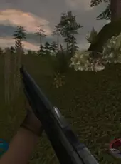 Carnivores