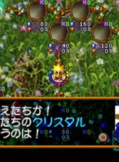 Chocobo Collection