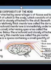 Life & Death II: The Brain