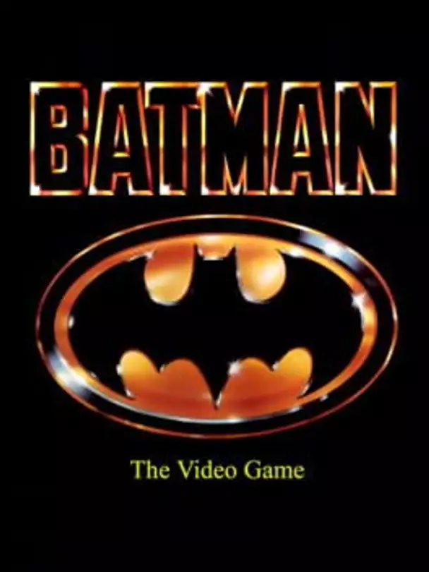 Batman: The Video Game