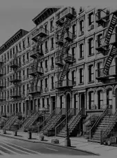 Rooftop Rascal: The Drizzle Cat