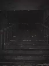 Footage 1985
