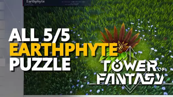 All Earthphyte Puzzle Tower of Fantasy