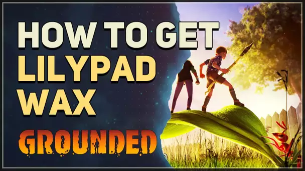 How to get Lilypad Wax Grounded
