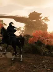 Rise of the Ronin