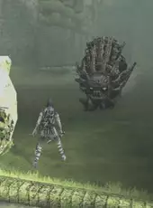 Shadow of the Colossus: Limited Edition