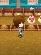 Natsume's Cozy Bundle