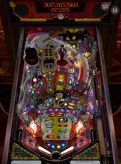 Zen Pinball Party