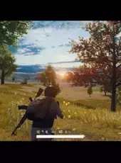 PUBG Lite