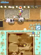 Harvest Moon DS: Grand Bazaar