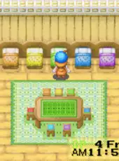 Harvest Moon: Friends of Mineral Town